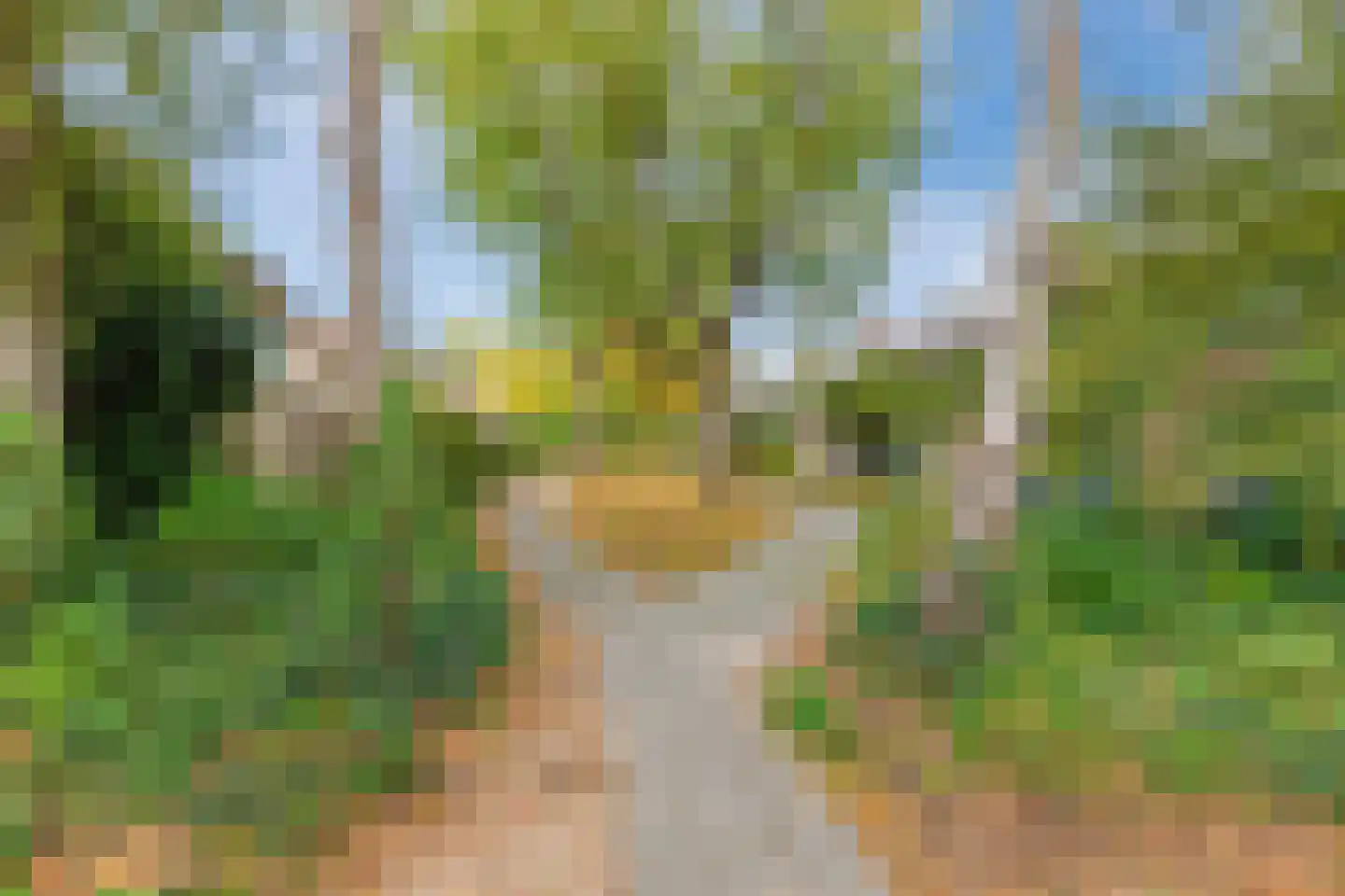 Graafschappad 2 Son en Breugel thumbnail 41
