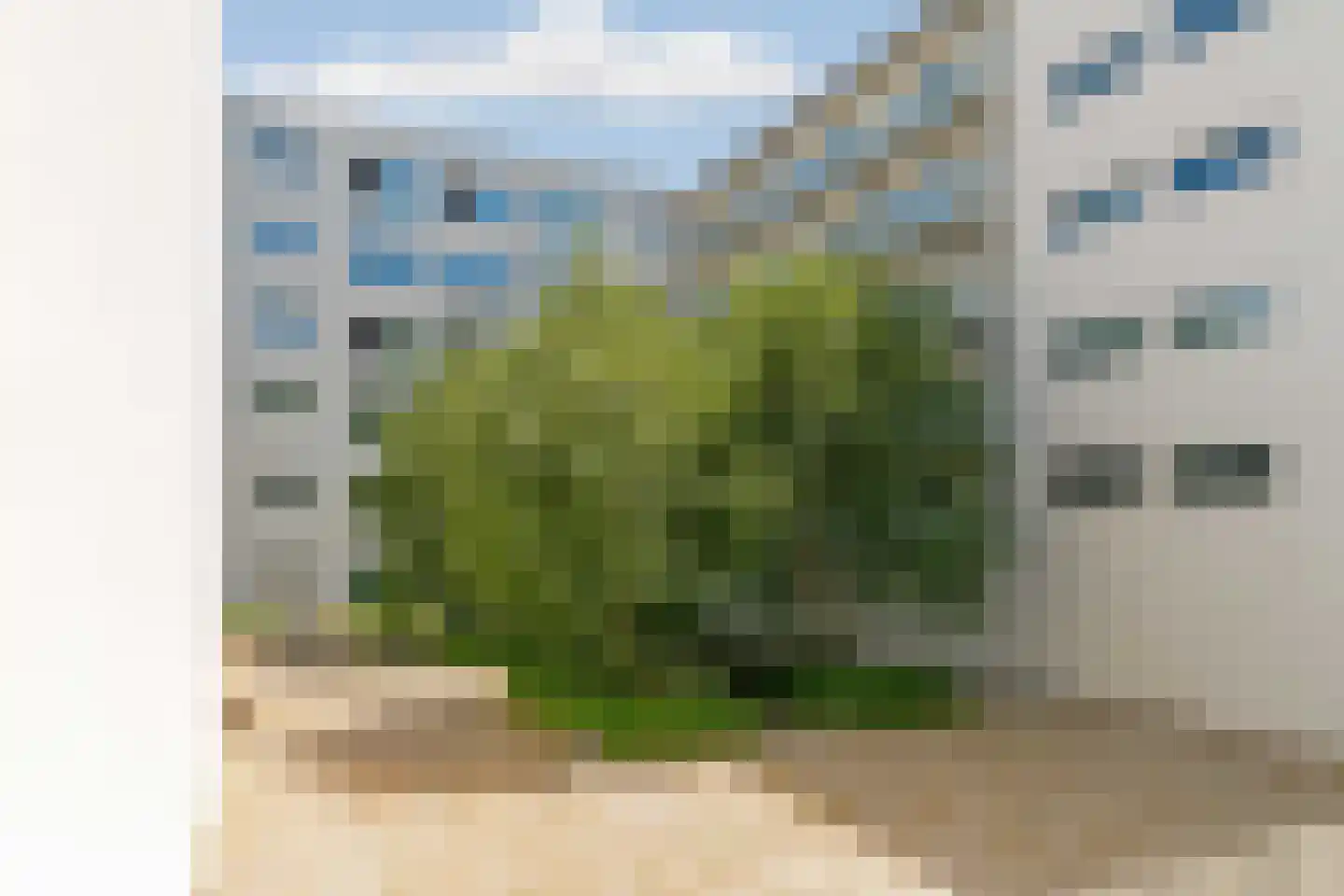 Graafschapstraat 102 Amsterdam thumbnail 57