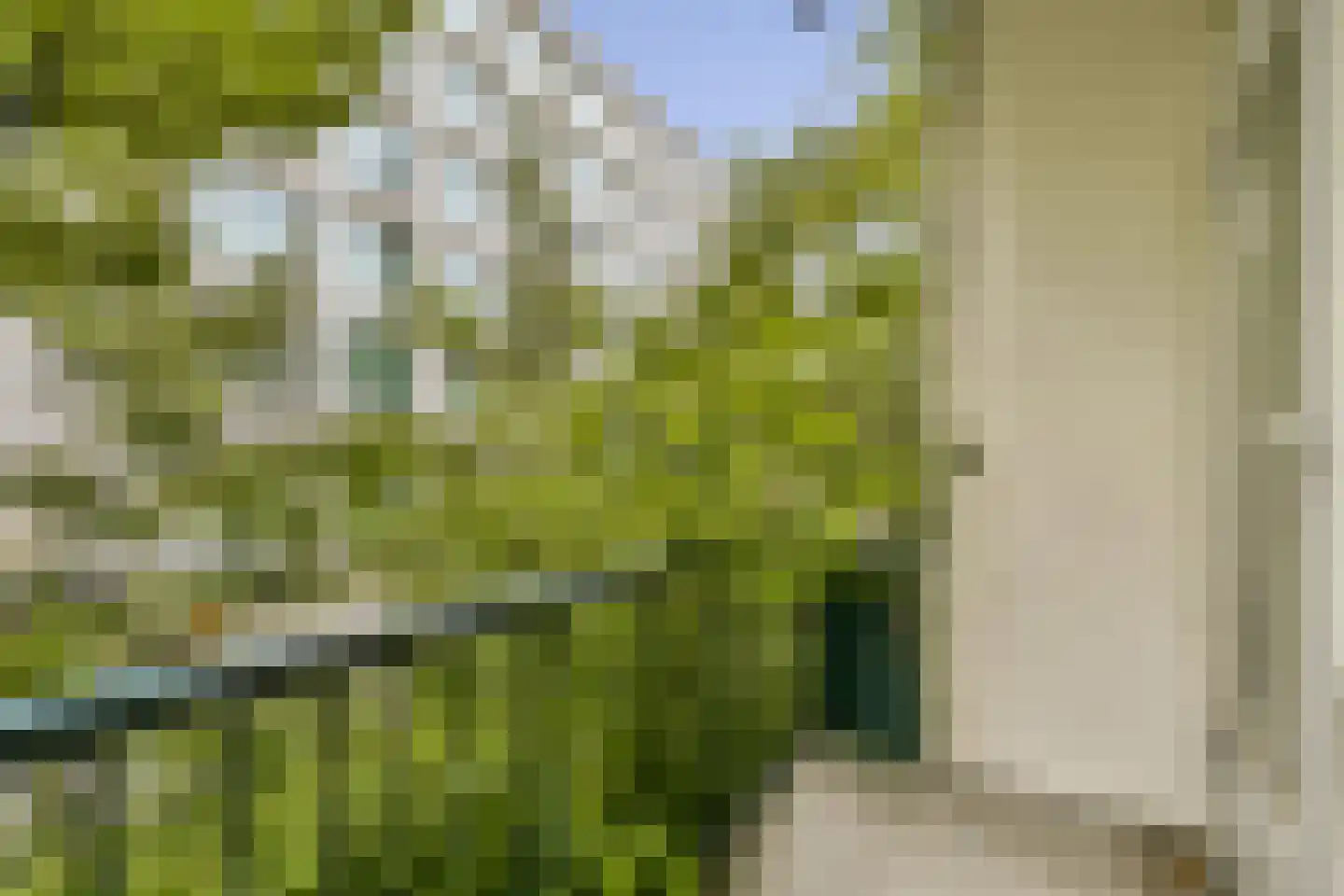 Graafschapstraat 3 H Amsterdam thumbnail 11