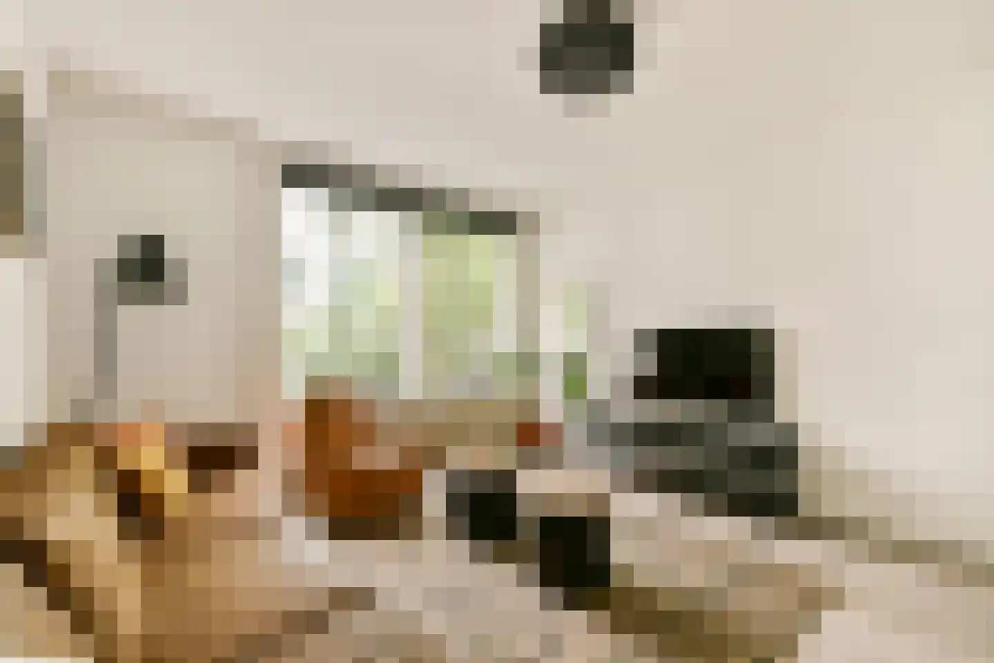Graafschapstraat 3 H Amsterdam thumbnail 4