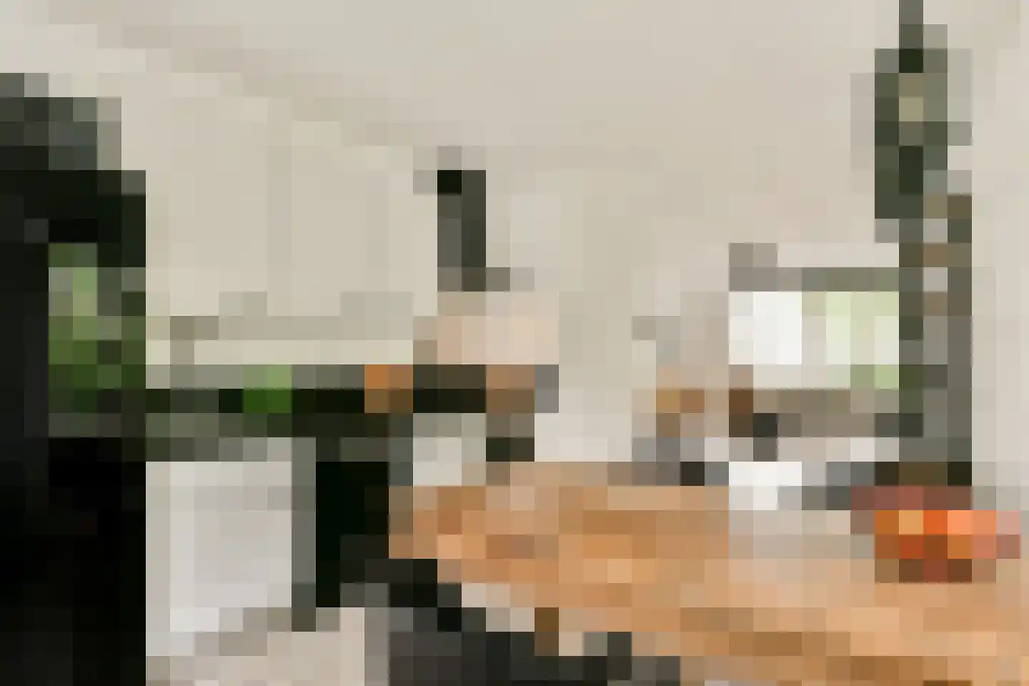 Graafschapstraat 3 H Amsterdam thumbnail 5