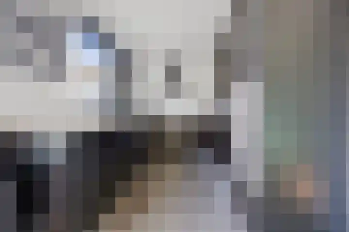 Graafschapstraat 3 Waalwijk thumbnail 15