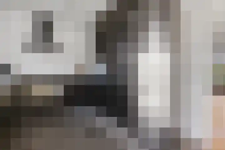 Graafschapstraat 3 Waalwijk thumbnail 17