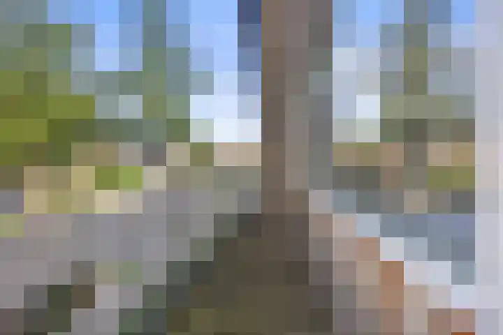 Graafschapstraat 3 Waalwijk thumbnail 22