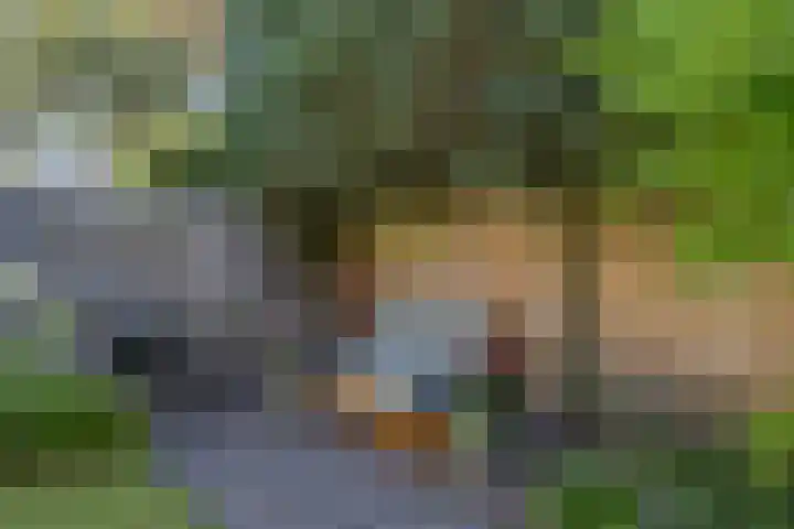 Graafschapstraat 3 Waalwijk thumbnail 37