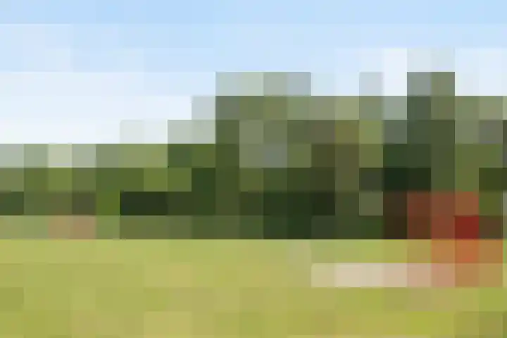Graafschapstraat 3 Waalwijk thumbnail 45