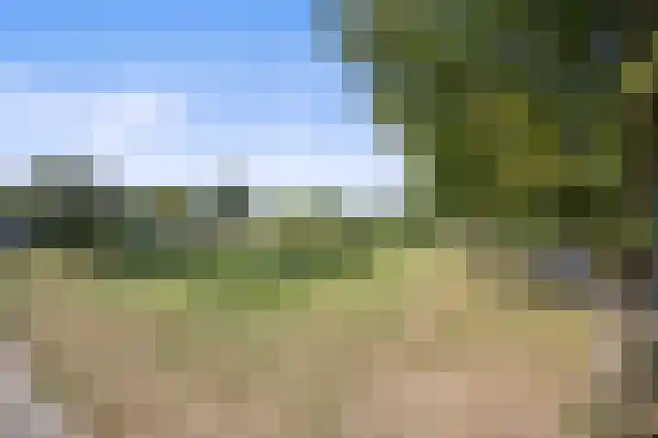 Graafschapstraat 3 Waalwijk thumbnail 47
