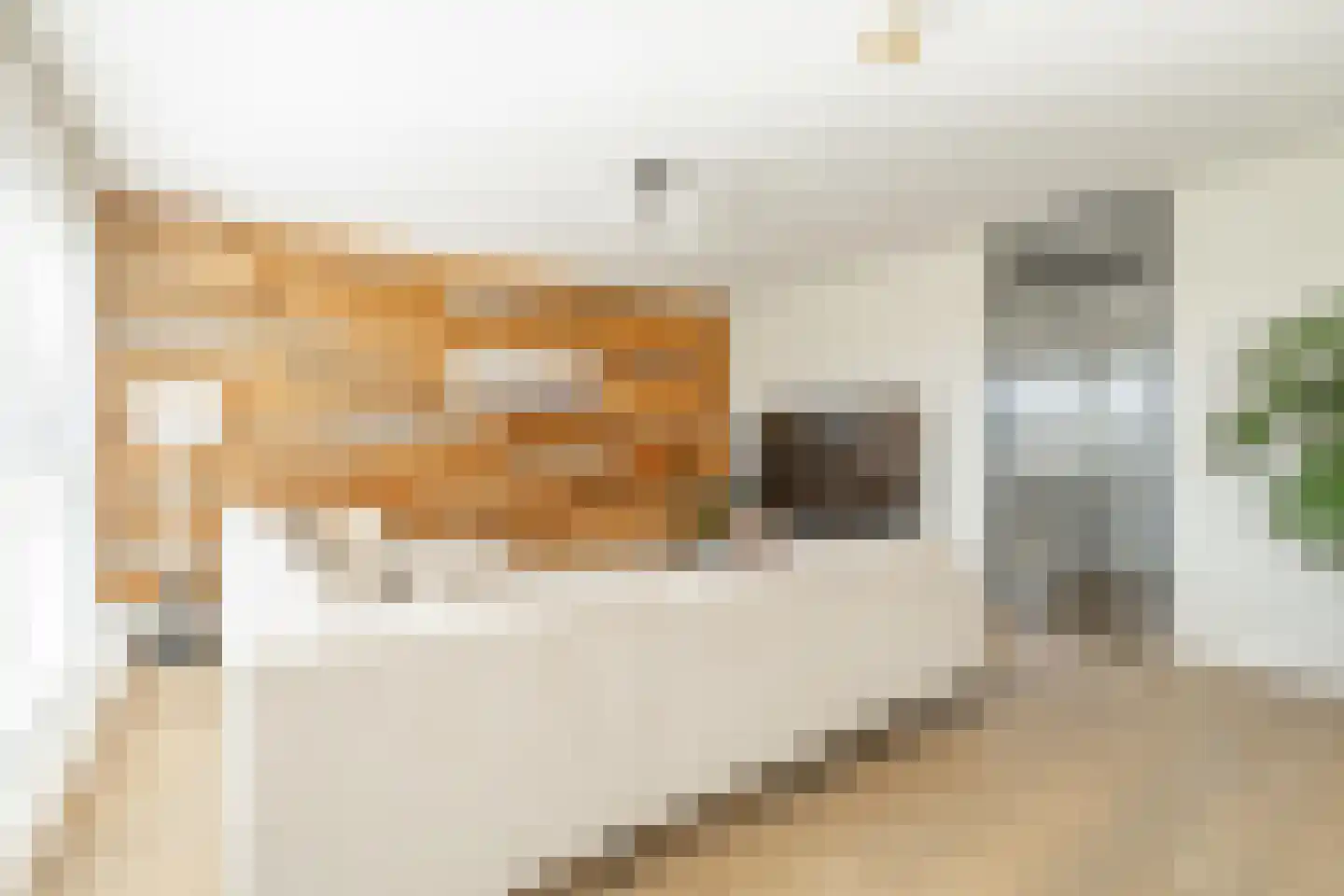 Graafschapstraat 34 Amsterdam thumbnail 18