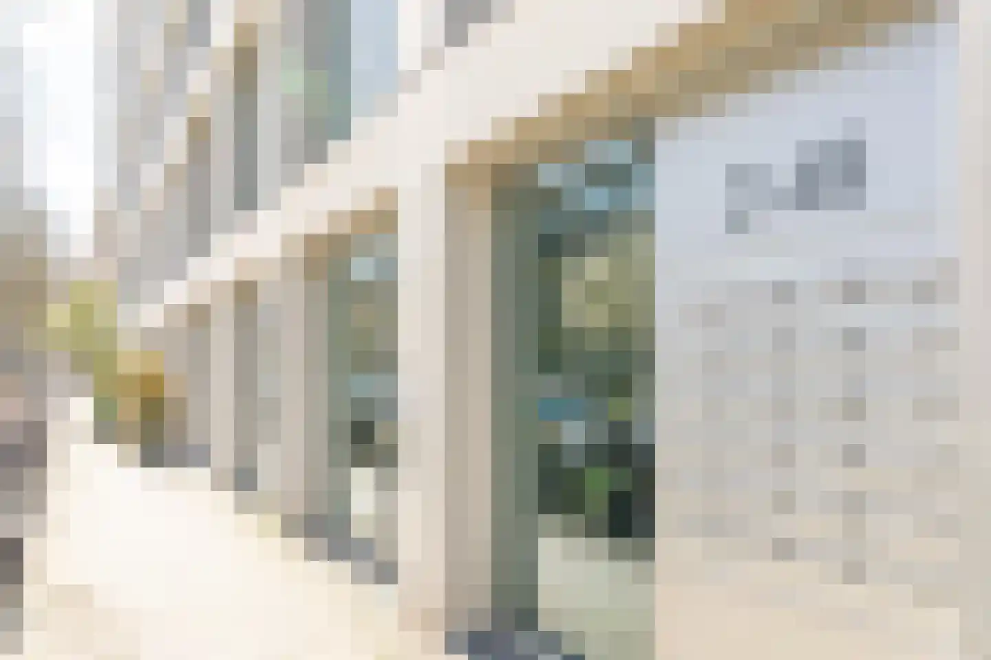 Graafschapstraat 34 Amsterdam thumbnail 4