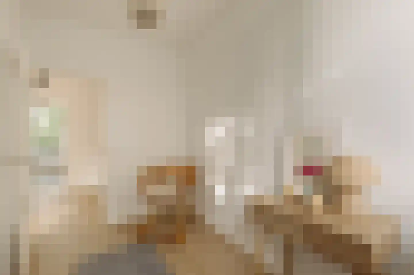 Graafschapstraat 5 1 Amsterdam thumbnail 14