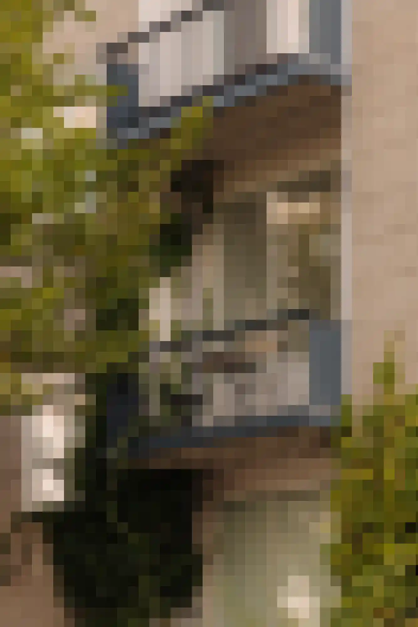 Graafschapstraat 5 1 Amsterdam thumbnail 8
