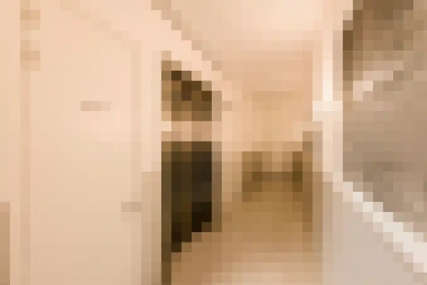 Graafschapstraat 96 Amsterdam thumbnail 14