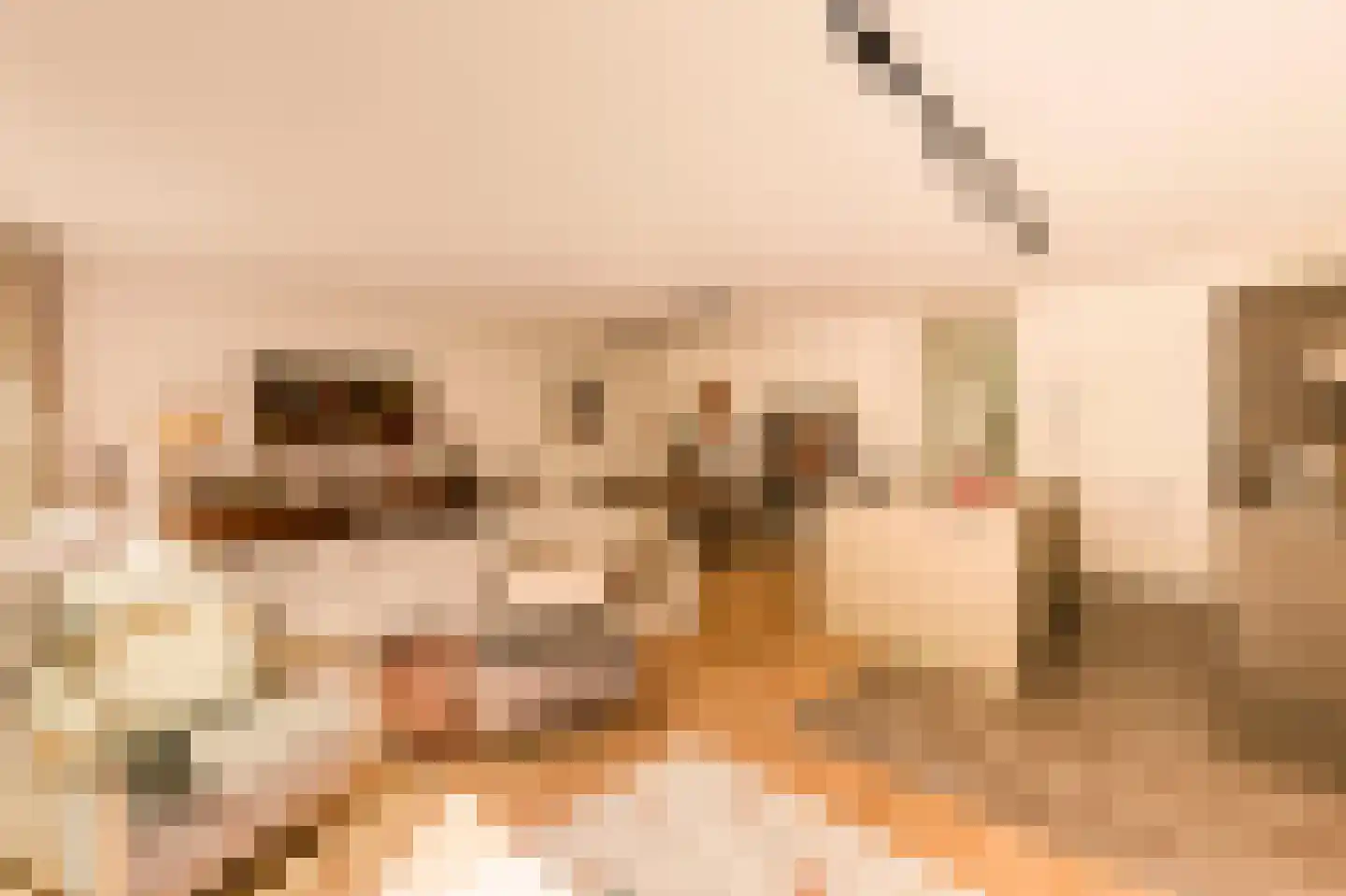 Graafschapstraat 96 Amsterdam thumbnail 4