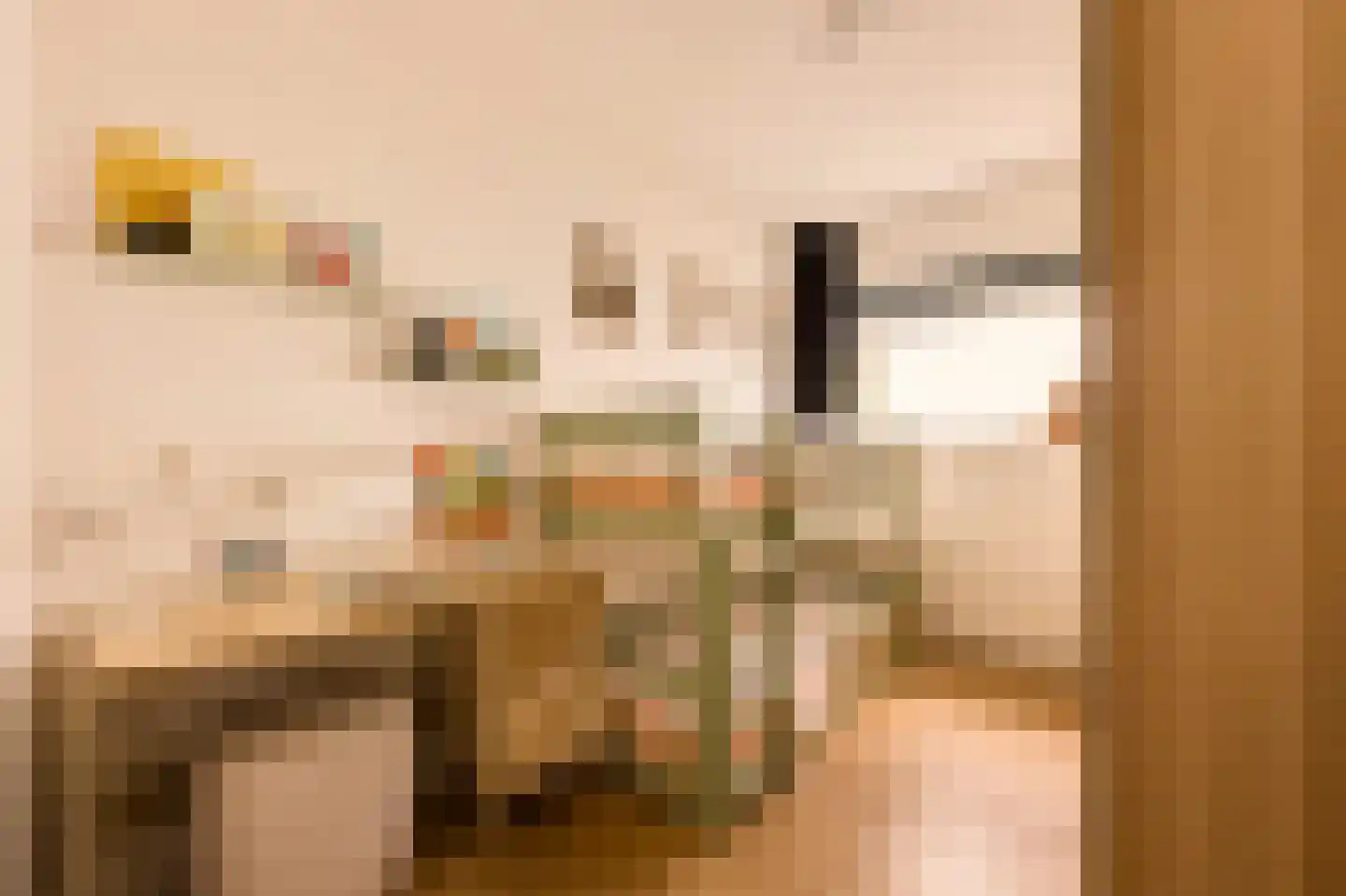 Graafschapstraat 96 Amsterdam thumbnail 8