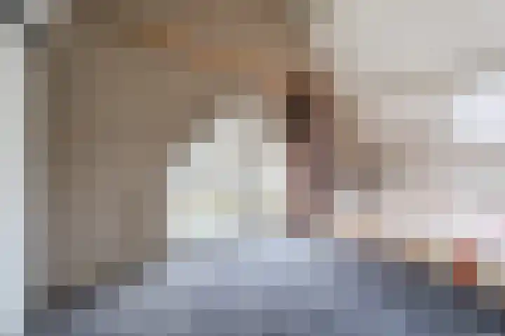 Graafschedijk 26 Escharen thumbnail 20