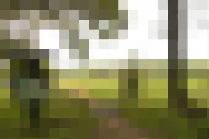 Graafschedijk 26 Escharen thumbnail 38