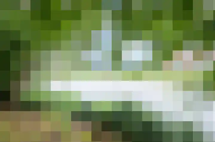 Graafschedijk 26 Escharen thumbnail 41