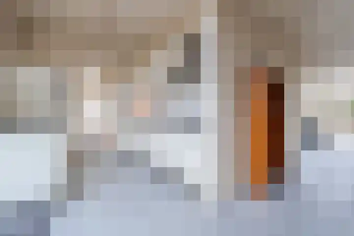 Graafschedijk 26 Escharen thumbnail 8