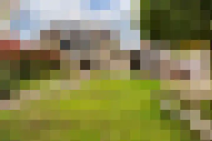 Graafschedijk 35 Escharen thumbnail 17