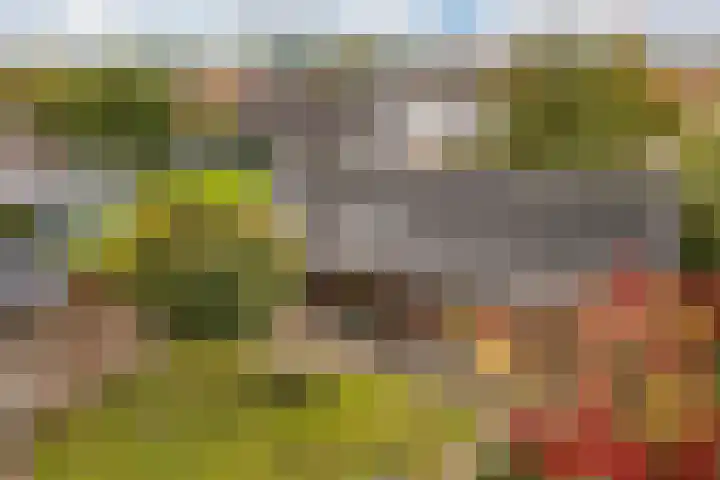 Graafschedijk 35 Escharen thumbnail 34