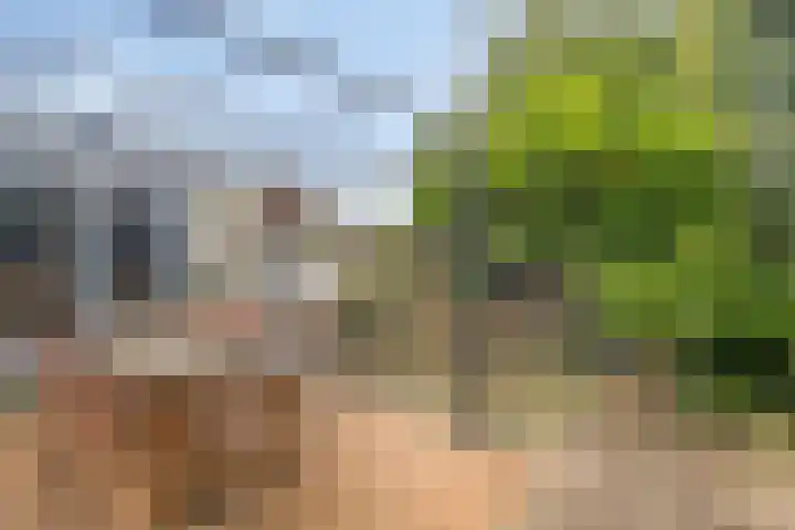 Graafsebaan 102 Rosmalen thumbnail 32