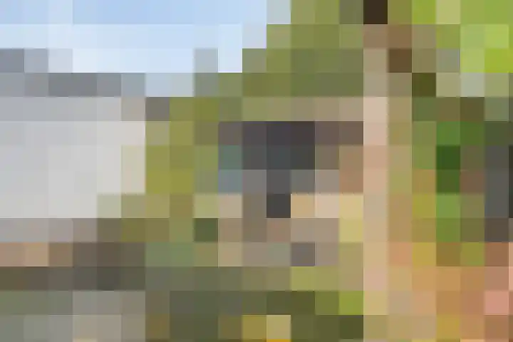Graafsebaan 102 Rosmalen thumbnail 33