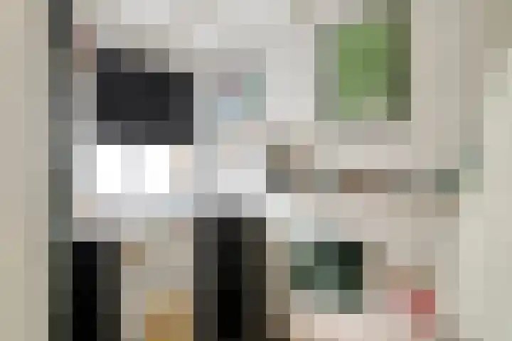 Graafsebaan 102 Rosmalen thumbnail 39
