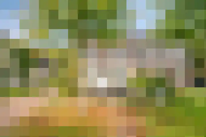 Graafsebaan 102 Rosmalen thumbnail 44