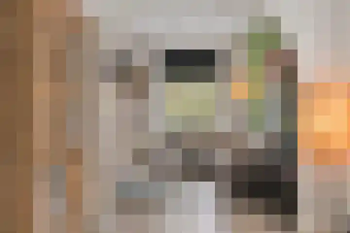 Graafsebaan 102 Rosmalen thumbnail 8