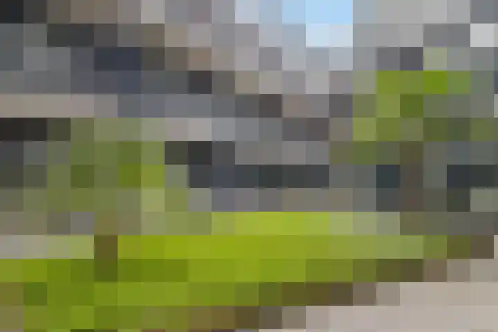 Graafsebaan 110 E Rosmalen thumbnail 10