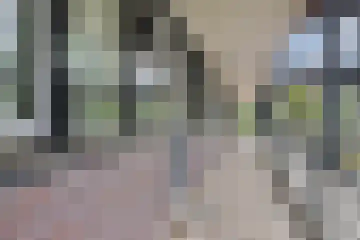 Graafsebaan 110 E Rosmalen thumbnail 11