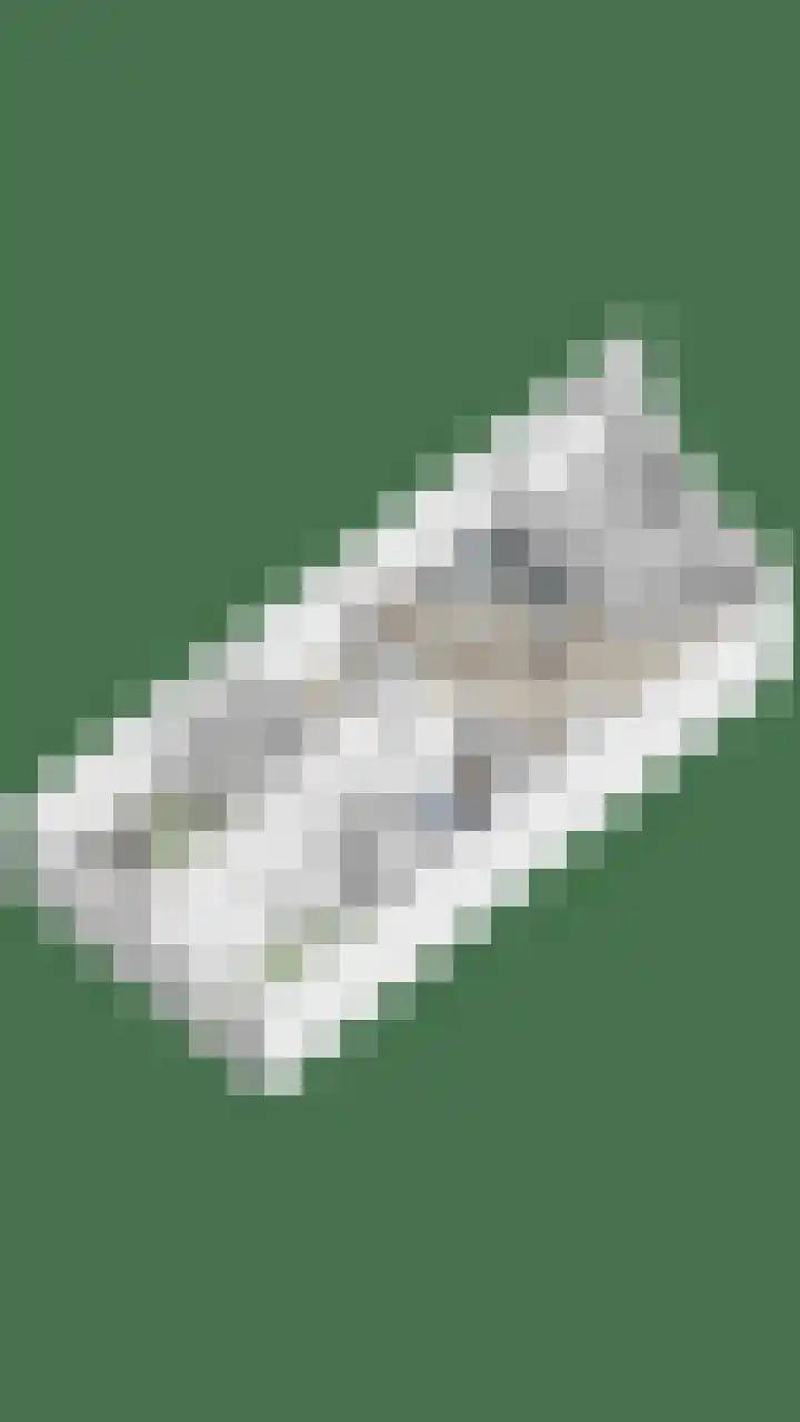 Graafsebaan 110 E Rosmalen thumbnail 32