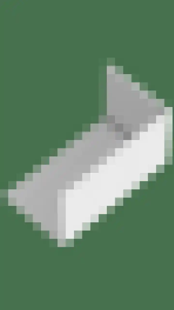 Graafsebaan 110 E Rosmalen thumbnail 36