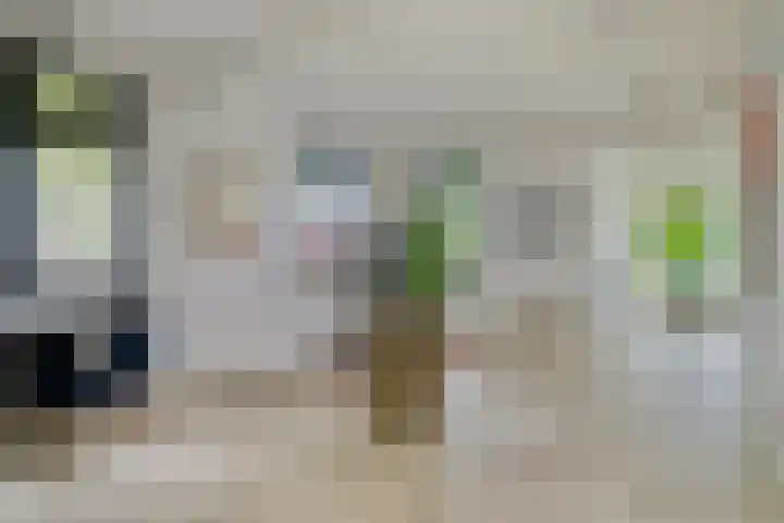 Graafsebaan 12 Rosmalen thumbnail 10