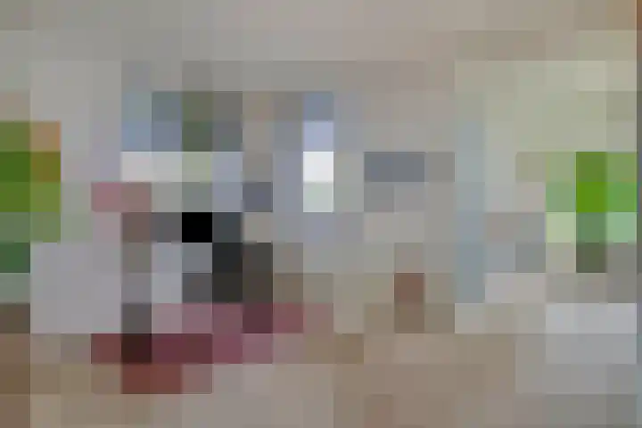 Graafsebaan 12 Rosmalen thumbnail 11