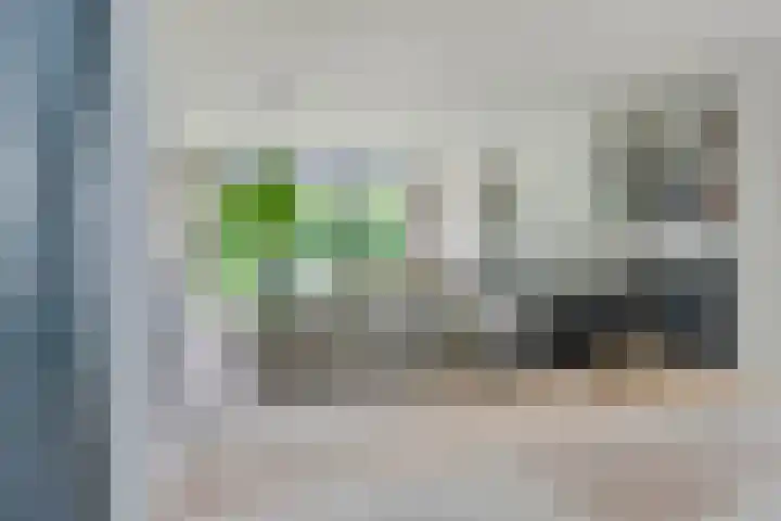 Graafsebaan 12 Rosmalen thumbnail 13