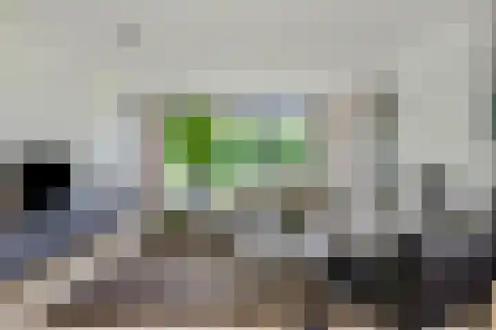 Graafsebaan 12 Rosmalen thumbnail 14