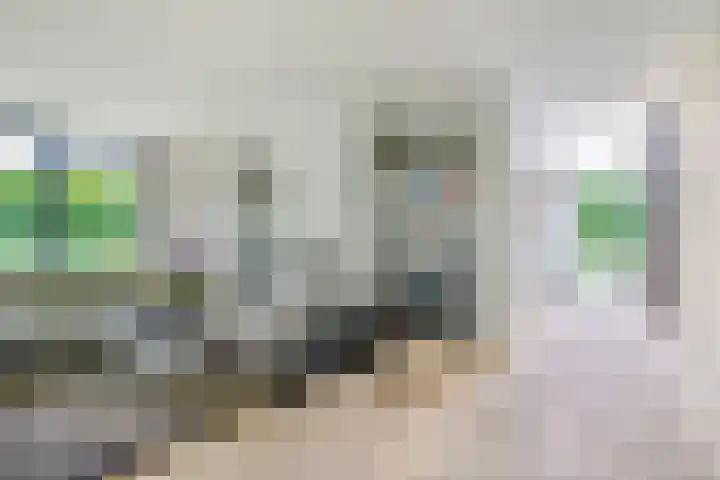 Graafsebaan 12 Rosmalen thumbnail 16