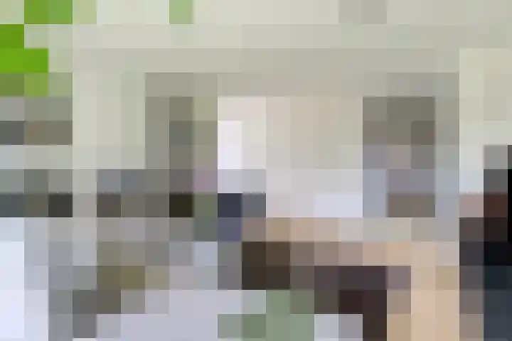 Graafsebaan 12 Rosmalen thumbnail 17