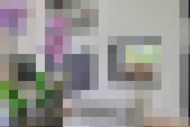 Graafsebaan 12 Rosmalen thumbnail 20
