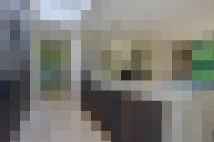 Graafsebaan 12 Rosmalen thumbnail 23
