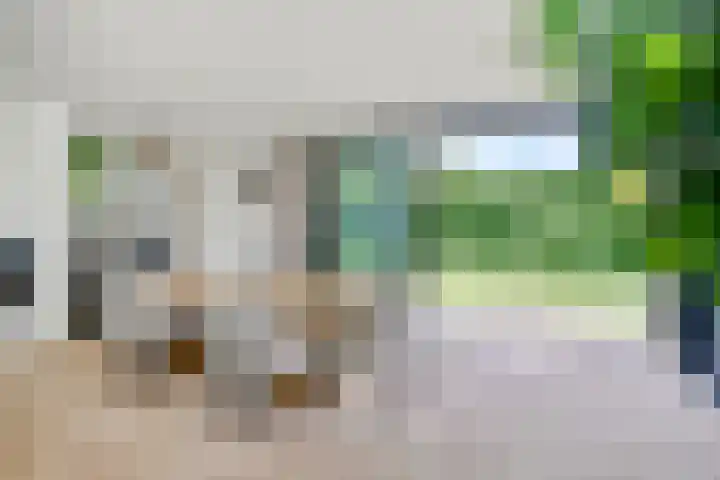 Graafsebaan 12 Rosmalen thumbnail 29