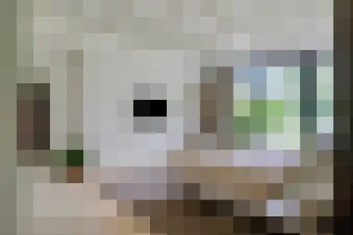 Graafsebaan 12 Rosmalen thumbnail 31