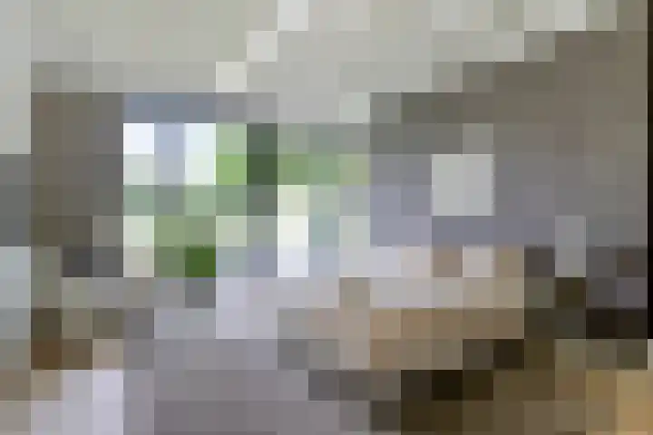 Graafsebaan 12 Rosmalen thumbnail 33