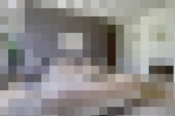 Graafsebaan 12 Rosmalen thumbnail 34