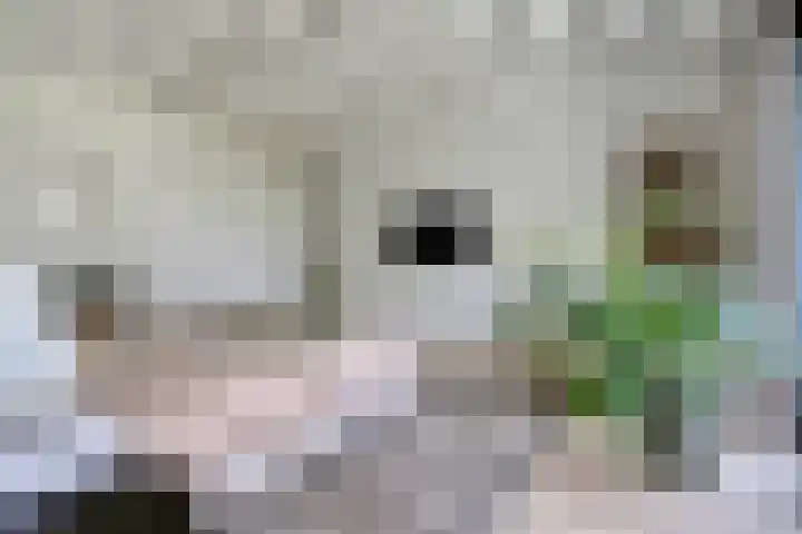 Graafsebaan 12 Rosmalen thumbnail 35