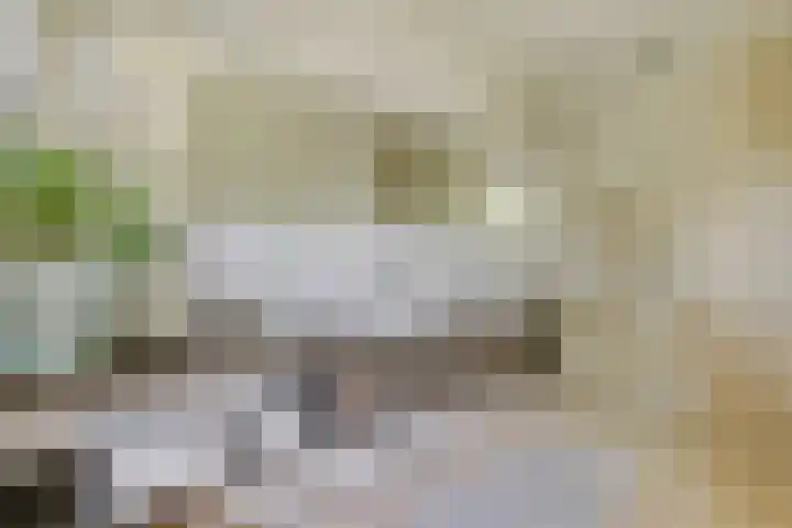 Graafsebaan 12 Rosmalen thumbnail 36