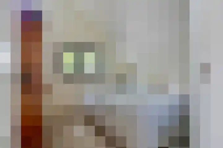 Graafsebaan 12 Rosmalen thumbnail 39