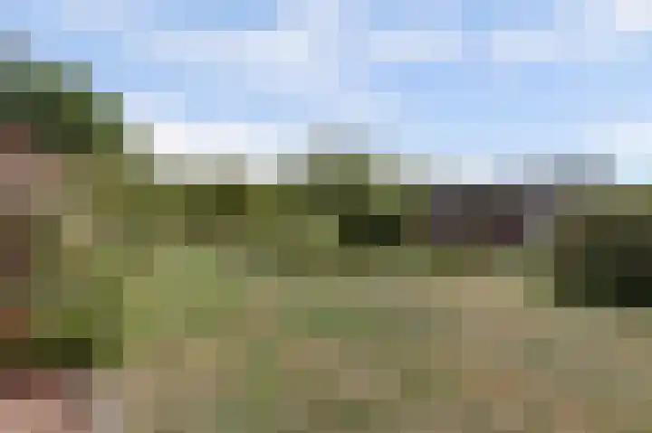 Graafsebaan 12 Rosmalen thumbnail 41