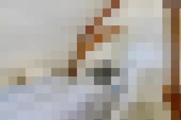 Graafsebaan 12 Rosmalen thumbnail 41